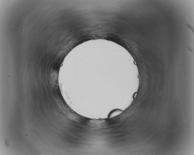 X0000102780480200809151107