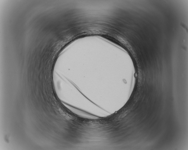 X0000102780481200809151106