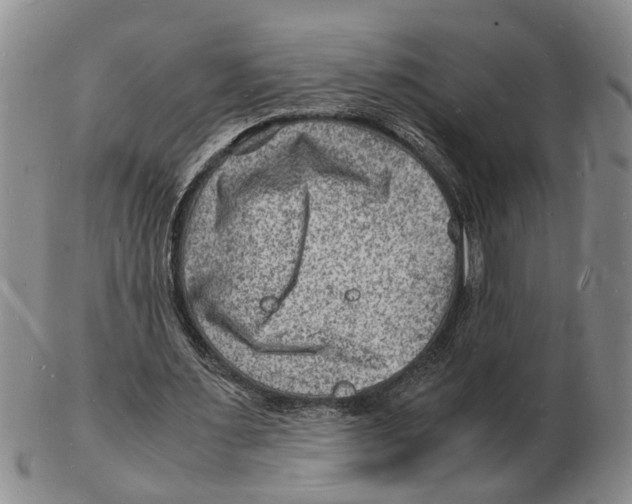 X0000102780483200809151106