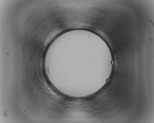 X0000102780485200809151106