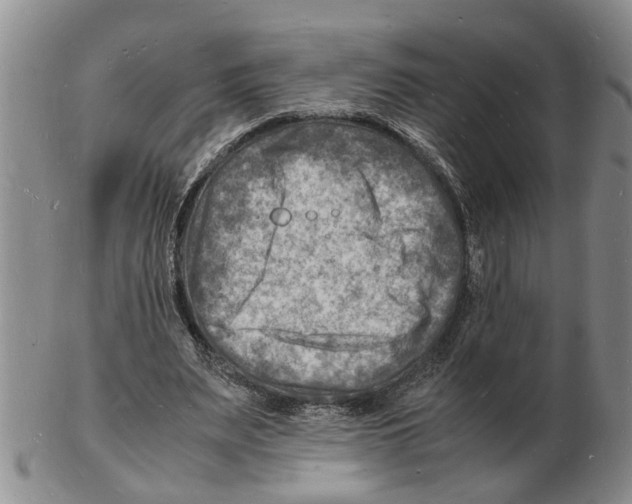 X0000102780487200809151106