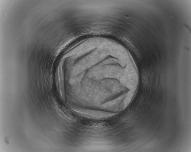 X0000102780488200809151106