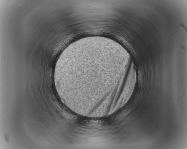 X0000102780493200809151106