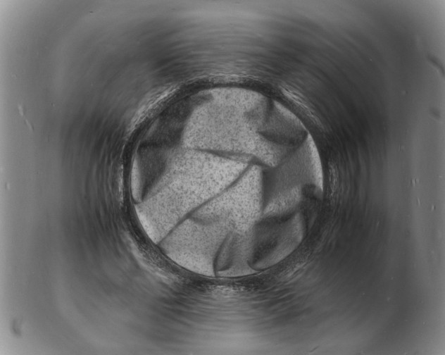 X0000102780494200809151106