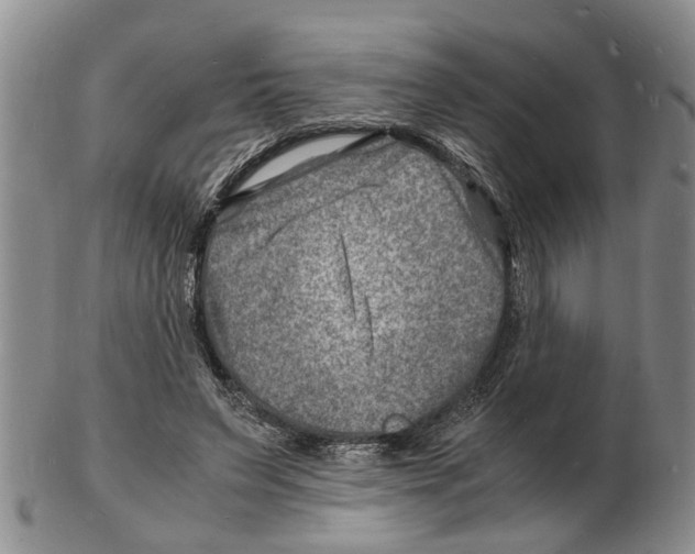 X0000102780495200809151106