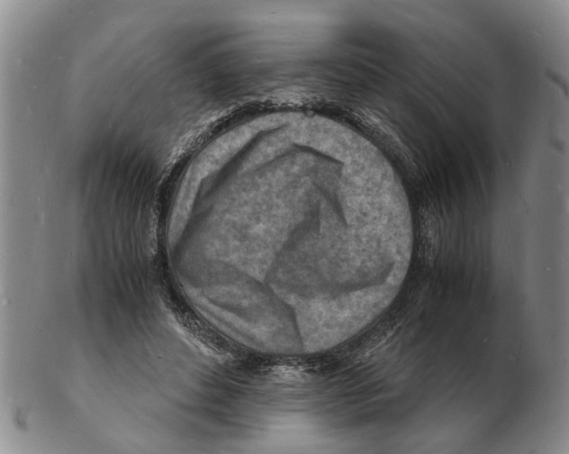 X0000102780496200809151106