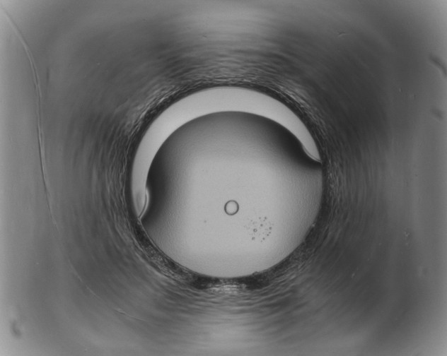 X0000102780499200809151106