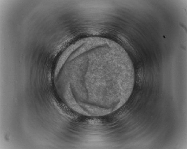 X0000102780500200809151106