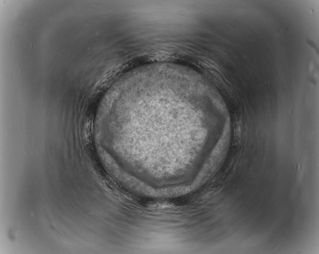 X0000102780503200809151106