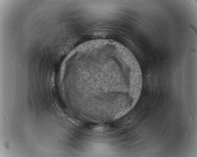 X0000102780504200809151106