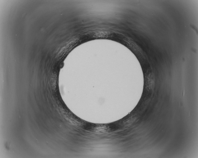 X0000102780505200809151106