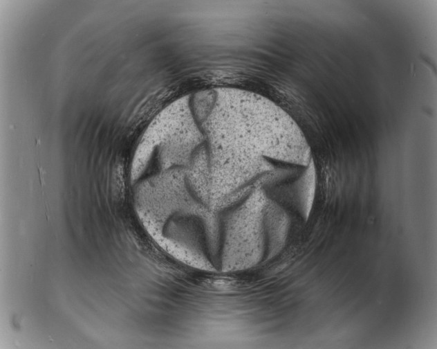 X0000102780506200809151106