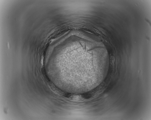 X0000102780507200809151106