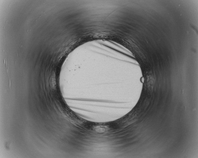 X0000102780508200809151106