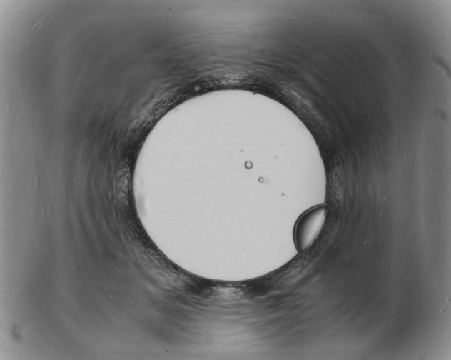 X0000102780509200809151106