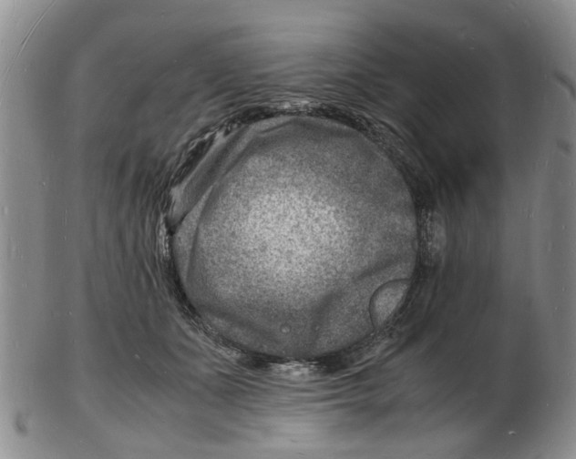 X0000102780511200809151106