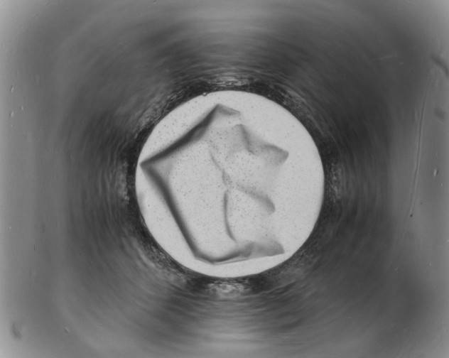 X0000102780512200809151106