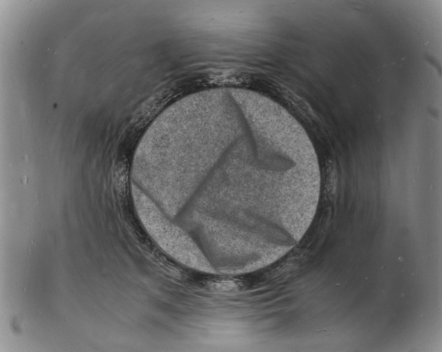 X0000102780513200809151105