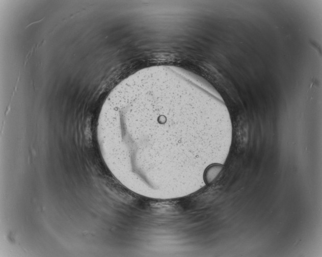 X0000102780516200809151105