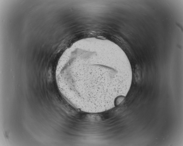 X0000102780520200809151105