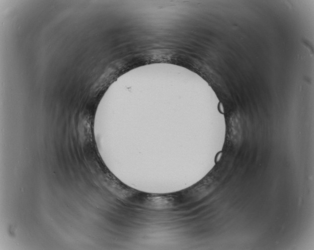 X0000102780522200809151105