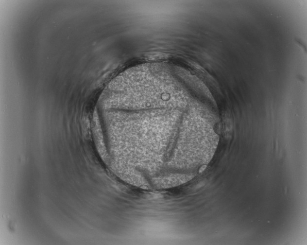 X0000102780523200809151105