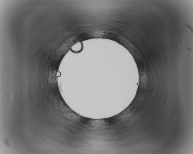 X0000102780525200809151105