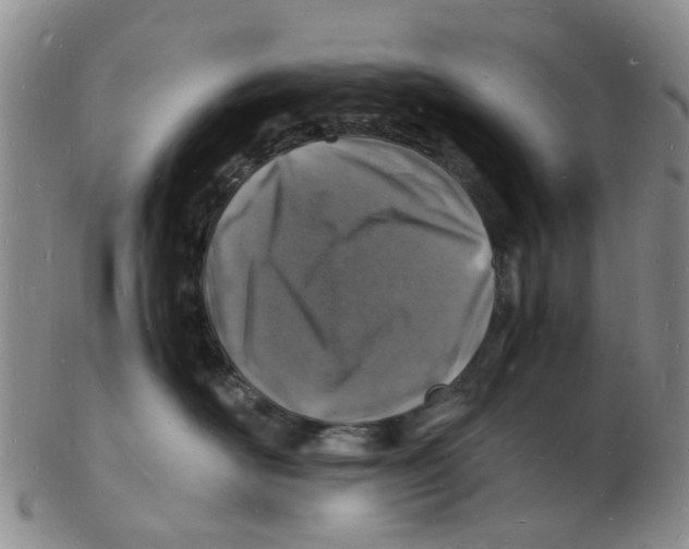 X0000102780526200809151105