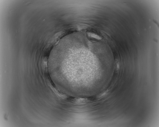 X0000102780527200809151105