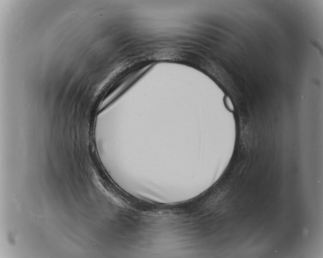 X0000102780530200809151105