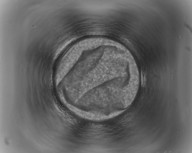 X0000102780531200809151105