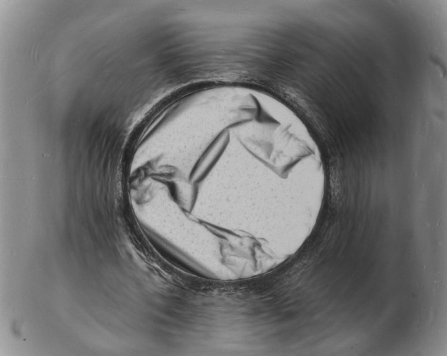 X0000102780532200809151105