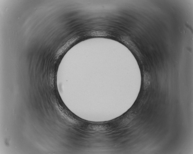 X0000102780533200809151105