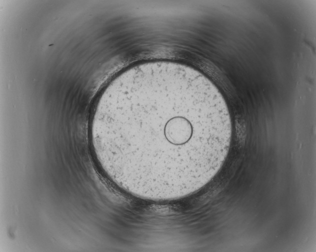 X0000102780534200809151105