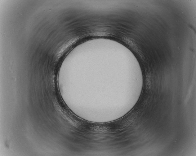 X0000102780535200809151105