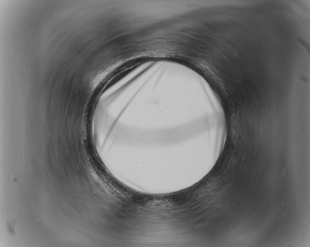 X0000102780536200809151105