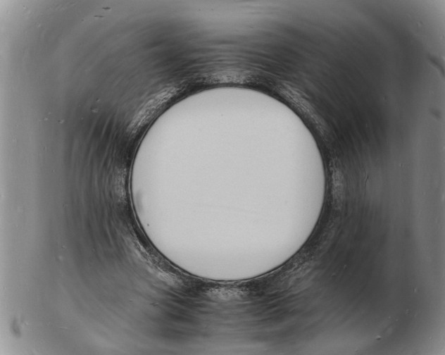 X0000102780537200809151105