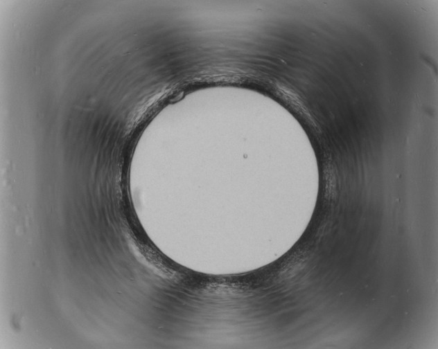 X0000102780538200809151105