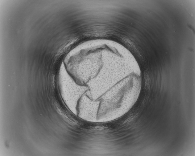 X0000102780542200809151105