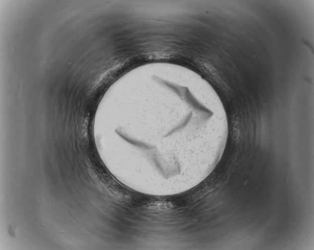 X0000102780543200809151105