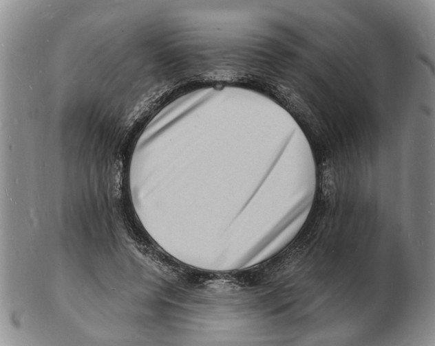 X0000102780544200809151105