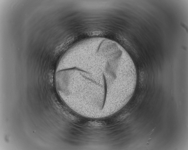 X0000102780545200809151105