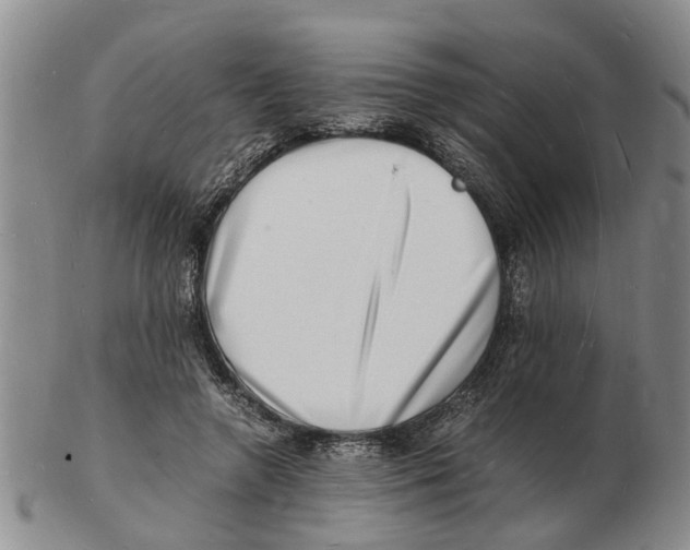 X0000102780546200809151105