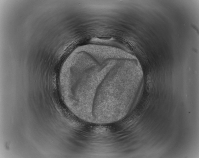 X0000102780547200809151105