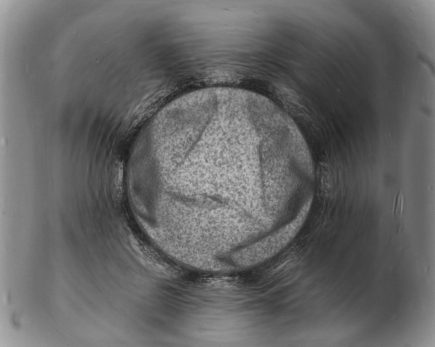 X0000102780550200809151105