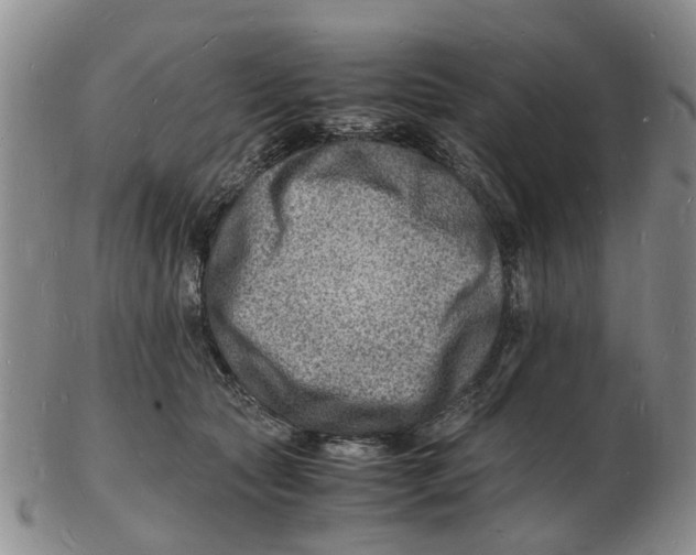 X0000102780561200809151105