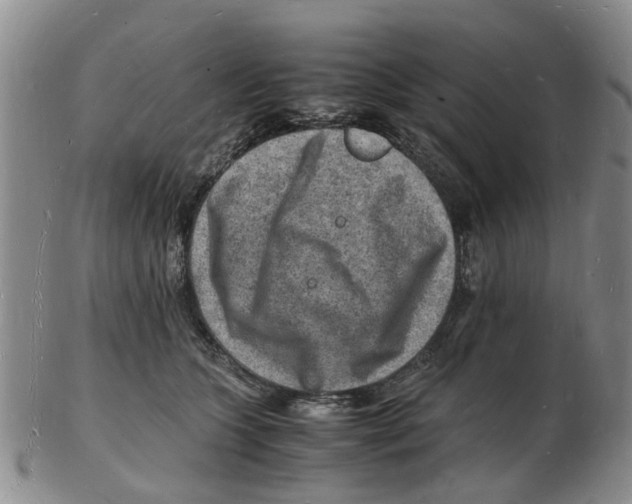 X0000102780563200809151105