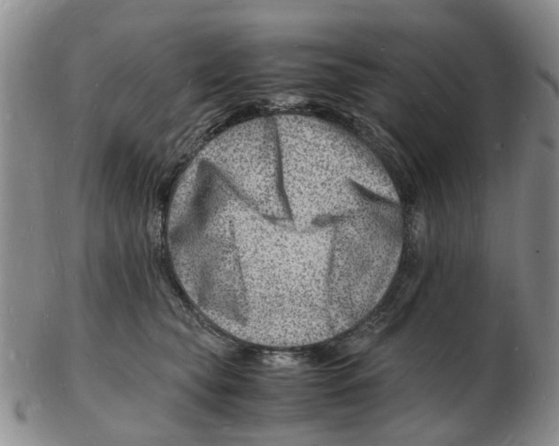 X0000102780565200809151105