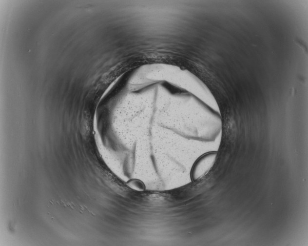 X0000102780566200809151105