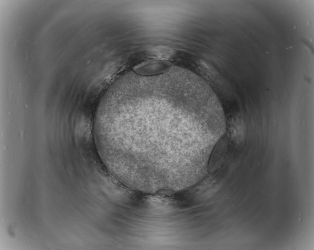 X0000102780568200809151105